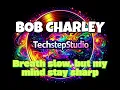 Lagu Bob Charley - Breath slow, but my mind stay sharp