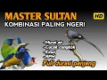 Ngeri !! Masteran Kombinasi Murai air-Cucak cungkok-Kinoi-RPM Durasi panjang‼️