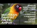 Download Lagu Kompilasi suara masteran untuk lovebird (kenari -cililin-cucak jenggot-tengkek buto-belalang)
