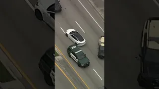 Crazy GTA Like High Speed Chase LX News 