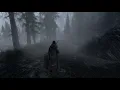 Dragonborn Museum 030 - Eldergleam and Phantasmal Chest