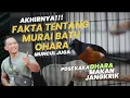 Download Lagu Akhirnya Muncul Juga, Fakta Tentang Murai Batu Ohara Yang Jarang Di Ketahui Fans.