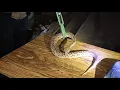 Download Lagu Russell viper  snake bite video/russell viper rescue