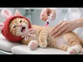 Download Lagu Brave Ginger Kitten Donates Blood to Save Sick White Cat While Visiting Mama–12 Heartwarming Stories
