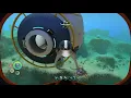 How to keep your cuddlefish safe in subnautica