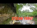 Exploring Wisconsin s Backcountry Streams for Wild Trout