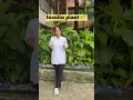 Download Lagu Day:3 Insulin plant 🌱#plants #ayurveda #health #diabetes #vlog #study #medical #song #viralshorts