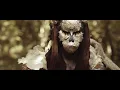 EQUILIBRIUM - Bloodwood (OFFICIAL MUSIC VIDEO)