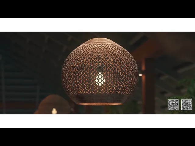 Project Video
