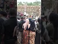 Download Lagu GADIS DESA JAMPANG TURUNAN KIDUL INGIN BERTEMU BAPAK SANDIAGA UNO
