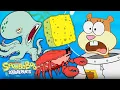 Download Lagu SpongeBob Characters Become Real Animals! 🐟 'Feral Friends' | SpongeBob