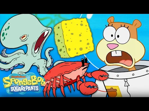 Download MP3 SpongeBob Characters Become Real Animals! 🐟 'Feral Friends' | SpongeBob