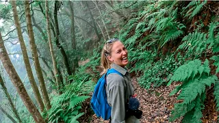 Discovering the Hidden Gems of this Little Island (Tenerife) | Ep. 55