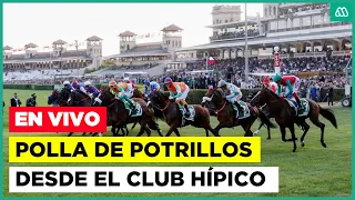 EN VIVO | Clásico grupo 1 - Polla de Potrillos | Club Hípico