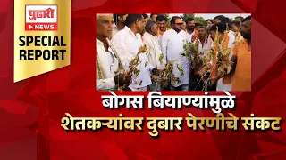 Buldhana Fake Seeds Special Report | बुलढाण्यात बोगस बियाण्यांमुळे शेतकऱ्यांवर दुबार पेरणीचे संकट