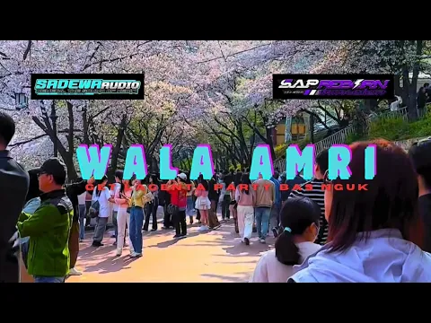 Download MP3 DJ WALA AMRI GET LAGENTA X SAP MANAGEMEN