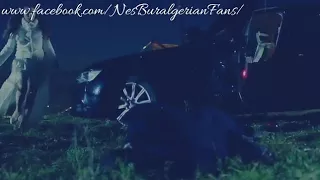 اني تيس دندنها