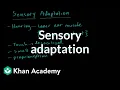 Sensory adaptation Processing the Environment MCAT Khan Academy