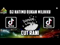 Download Lagu DJ TIKTOK HATIMU BUKAN MILIKKU FULL BASS CUT RANI MIX TERBARU