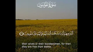 تلاوه اول سوره المؤمنون بصوت القارئ عبدالرحمن مكرم 