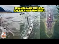 Terekam Kamera Dengan Jelas! Hewan Raksasa PraSejarah ini Muncul Ke Permukaan, Bikin Gempar Warga