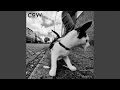 Download Lagu Dogg0 WalCie