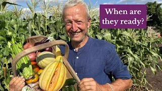 How to Tell When Vegetables Are Ready to Harvest