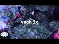 Download Lagu Chris Brown - Yeah 3x (Clean - Lyrics)