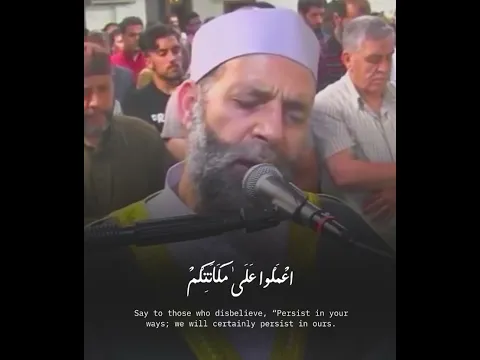 سورة ( هود )