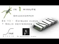 Grasshopper in 1 minute - EX 70