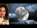 徐小鳳【星光的背影 1982】(歌詞MV)(1080p)(作曲：林子祥)(填詞：鄭國江)(Paula Tsui)