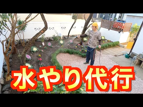 大事なお庭の植栽に「水やり」お任せ下さい！植物大好き４７歳が自転車でお伺いします