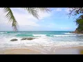 4K U Ocean Waves Crashing on Beach and Rocks White Noise for Relaxation Study Sleep