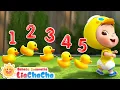 Lagu Lima Bebek Kecil | Lagu Bebek Kecil 🦆| Lagu Lucu | Lagu Anak-anak | LiaChaCha Bahasa Indonesia