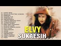 Download Lagu 20 Lagu Lagu Terpopuler Elvy Sukaesih
