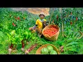 Download Lagu Harvest Chili Peppers And Vegetables To Sell At The Market, Cook, Garden, Take Care Of Animals.