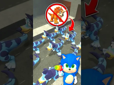 Find the WRONG CHARACTERS! DINO PARK Bluey Bingo and Coco EVOLUTION HOW TO PLAY LEGO in Garry's Mod