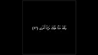 ق ال  ق د  أ وت يت  س ؤ ل ك  ي ا م وس ى    القارئ شريف مصطفى  دندنها