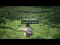 [ Vietsub + Lyrics ] Dandelions - Ruth B ✿