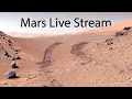 Mars Live Stream - ElderFox TV 24/7