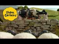 Download Lagu 🐑Shaun, o Carneiro [Shaun the Sheep] Porcos em guerra! 🐑 Hora Especial🐑| Cartoons Para Crianças