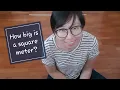 How big is a square meter