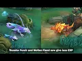 New Jungle Rotation Explained