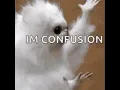 I Am Confusion GIF