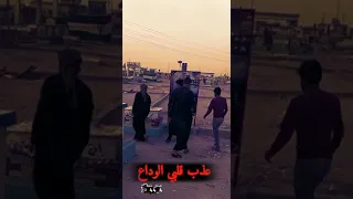 الوداع الوداع عذب كلبي الوداع 