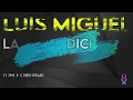 Luis Miguel - La Incondicional - Karaoke Instrumental