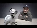 Download The $3000 Sony Aibo Robot Dog mp4 3gp mp3 videos - waplic