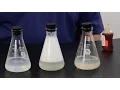 Water Softener vs Salt Free Water Conditioner What is the difference