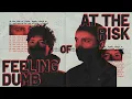 Download Lagu At the Risk of Feeling Dumb (Reimagined)
