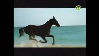 Часы Новый канал осень 2011 